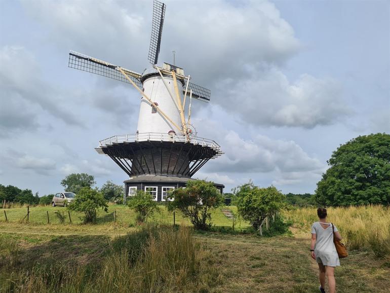 Die Mühle De Koe in Veere
