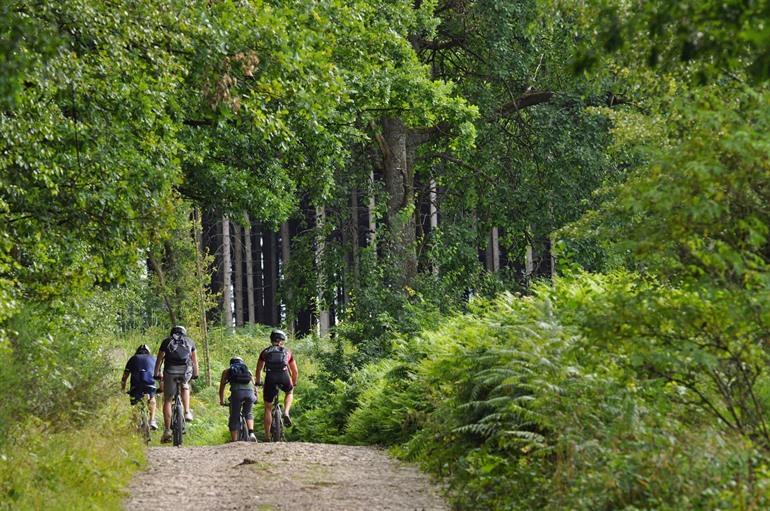Mountainbiken in den Ardennen