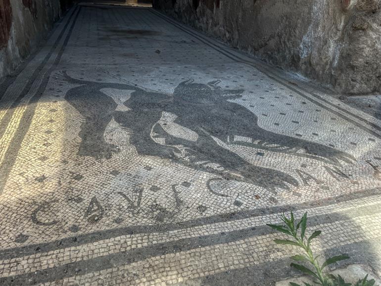 Mosaik des Hundes in Pompeji