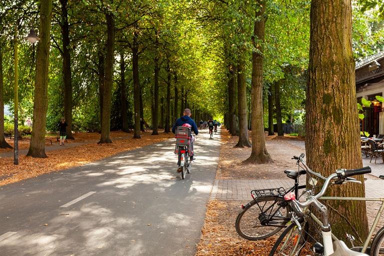 Münster Promenade, ein autofreier Ring um die Innenstadt