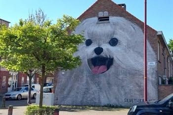 Murals und Street-Art in Ostende: Chrystal Ship