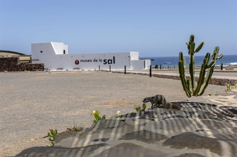 Salzmuseum, Salinas del Carmen auf Fuerteventura