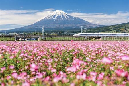 Nach Osaka in Japan reisen
