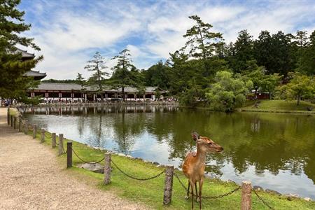 Nara, historische Stadt in Japan