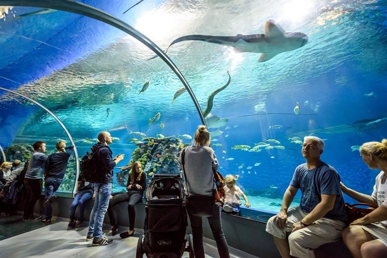 Nationales Aquarium Dänemark, Den Blå Planet, Kopenhagen