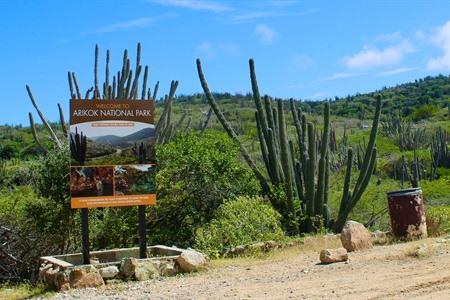 Besuchen Sie den Arikok-Nationalpark auf Aruba: alle Infos, Highlights und Tipps