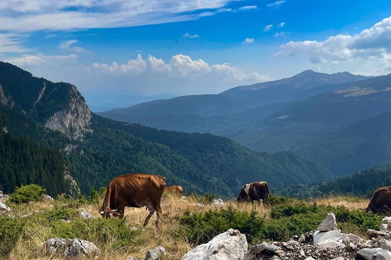 Nationalpark Bjeshkët e Nemuna