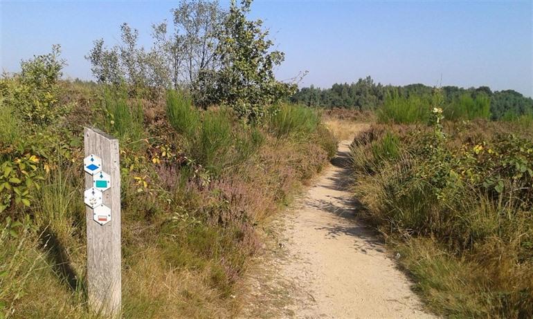 Nationalpark Hoge Kempen, Maasland