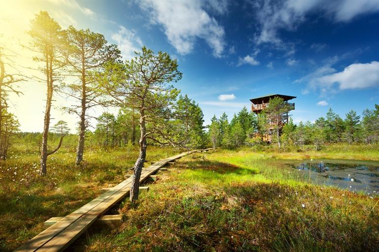 Den Lahemaa-Nationalpark in Estland besuchen