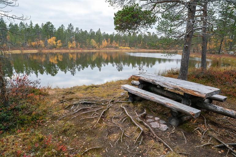 Nationalpark Pallas-Yllästunturi in Finnland