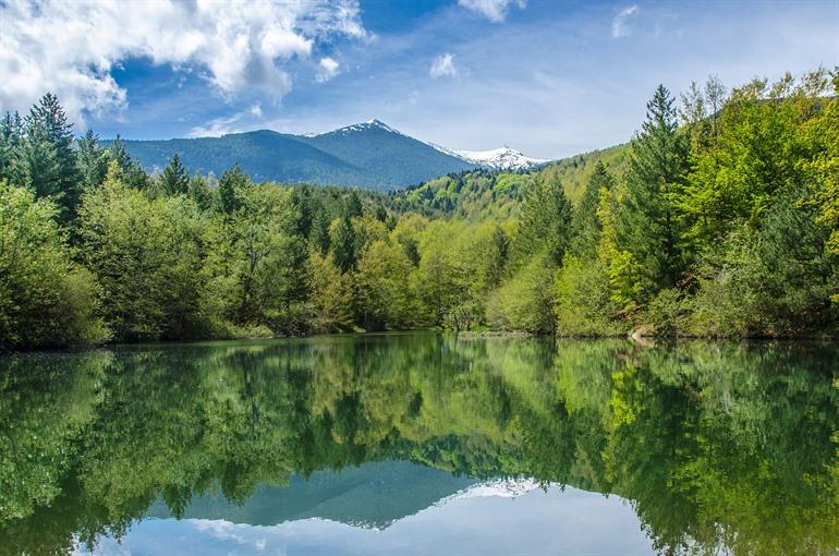 Den Nationalpark Pelister in Nordmazedonien besuchen