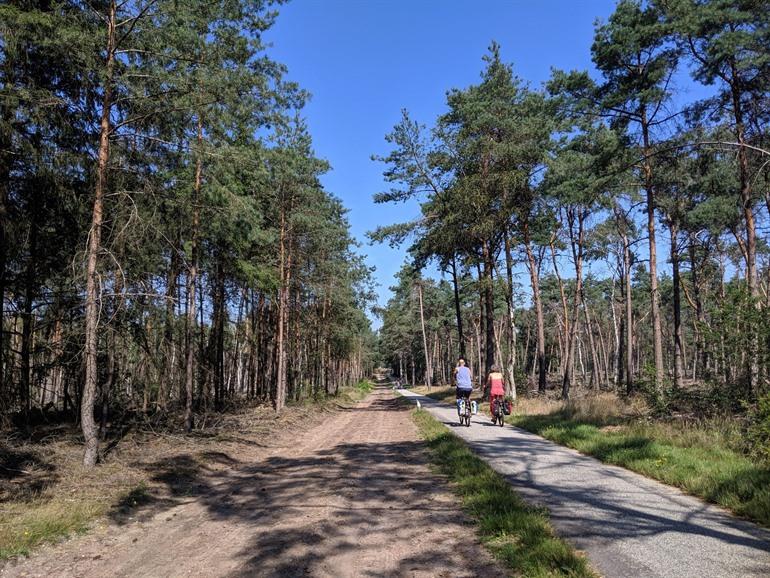 Nationalpark Sallandse Heuvelrug