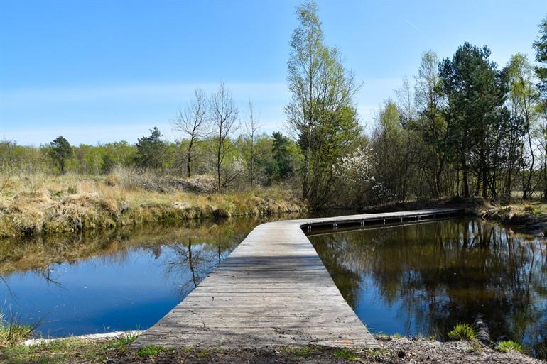 Nationalpark Hoge Kempen