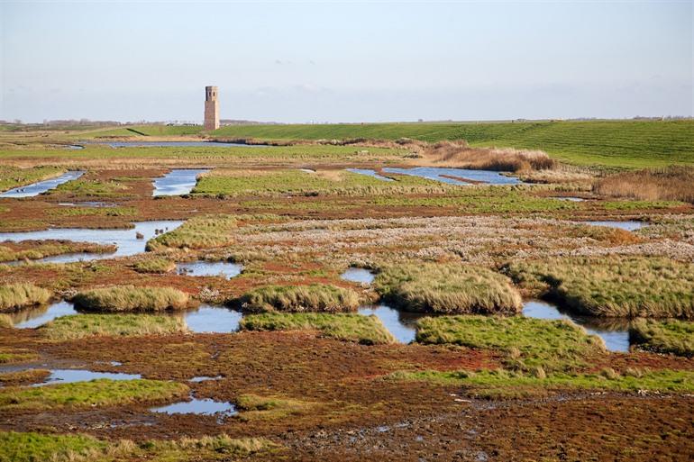 Nationalpark Oosterschelde
