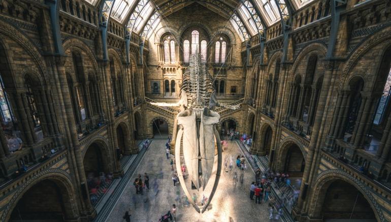 Naturhistorisches Museum