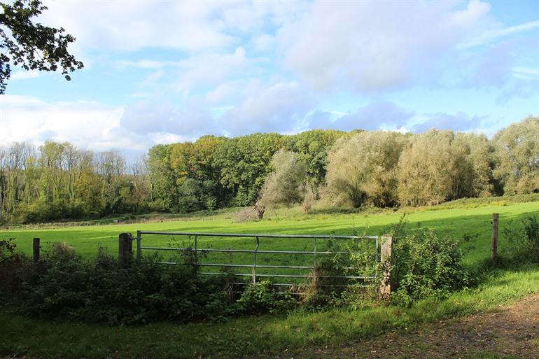 Naturschutzgebiet Wolfsputten, Pajottenland