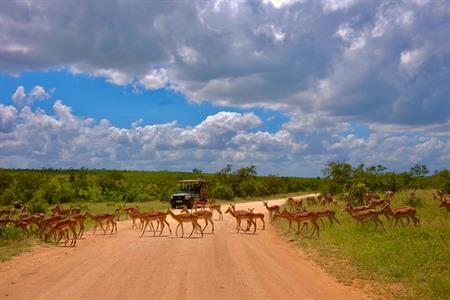 Naturparks in Südafrika