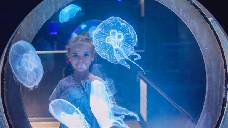 Nausicaá Aquarium Boulogne-sur-Mer
