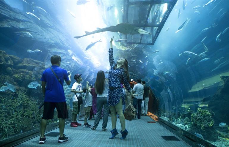 Nausicaa-Tunnel im Aquarium