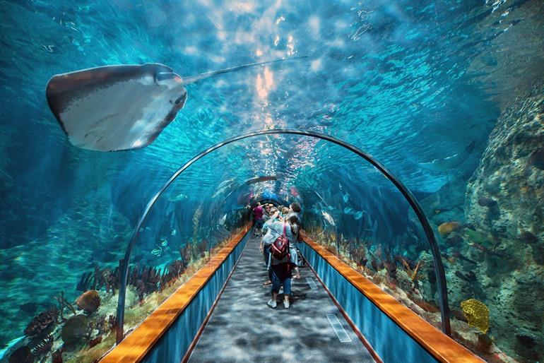 Unterwassertunnel im Loro Parque auf Teneriffa