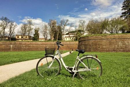 Entdecken Sie das mittelalterliche Lucca auf einer klassischen Stadträder-Tour
