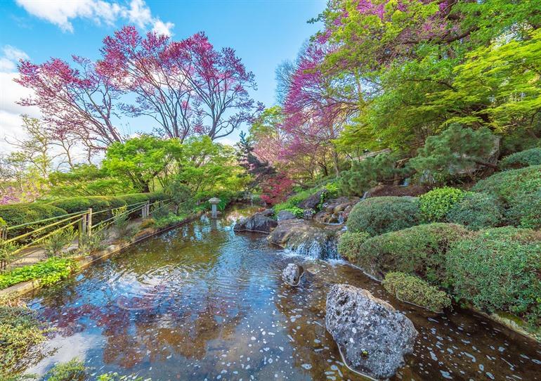 Orto Botanico in Rom