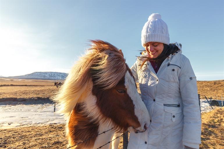 Reiten in Thingvellir