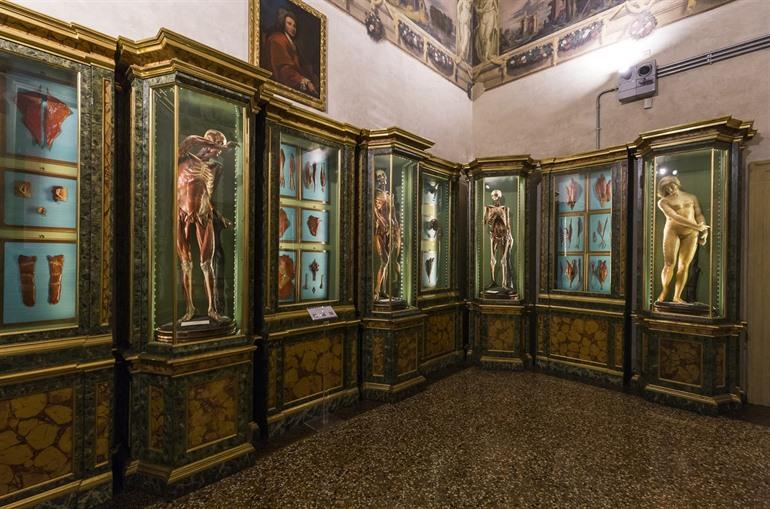 Palazzo Poggi in Bologna