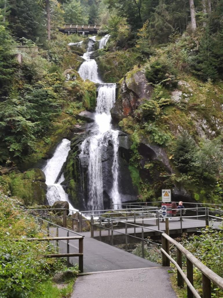 Panoramawanderung zu den Triberg-Wasserfällen