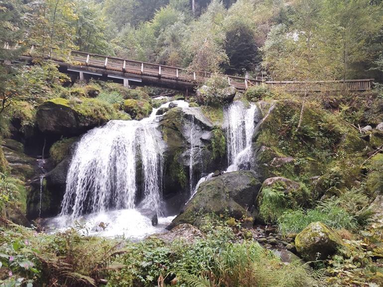 Panoramawanderung zu den Triberg-Wasserfällen