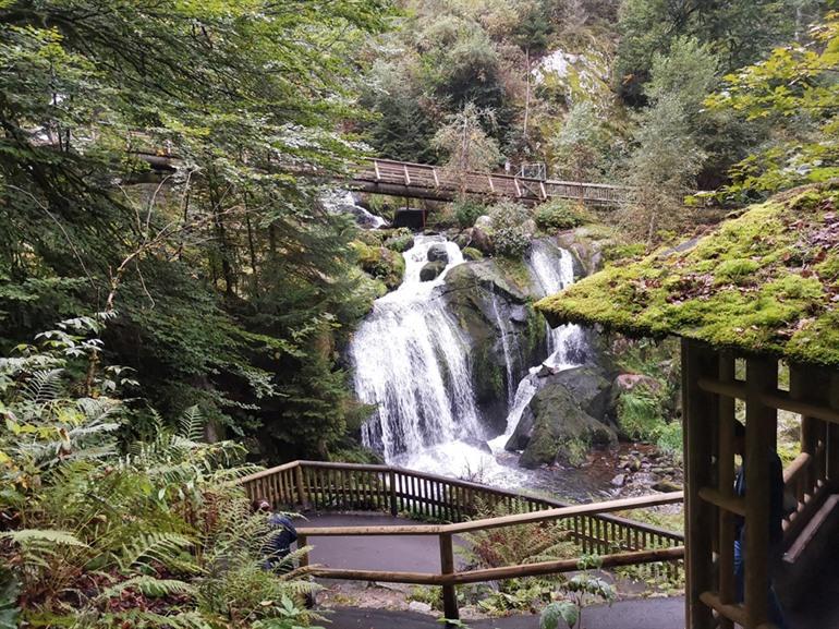 Panoramawanderung zu den Triberg-Wasserfällen