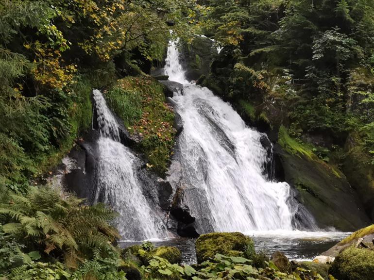 Panoramawanderung zu den Triberg-Wasserfällen