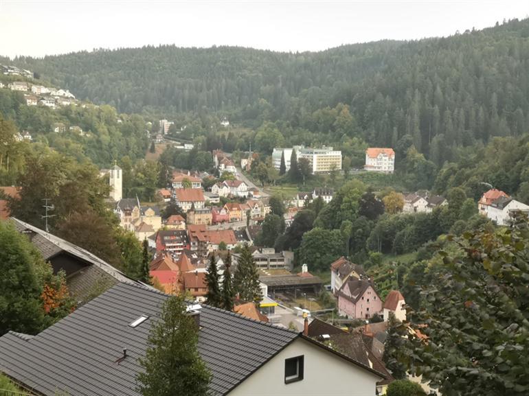 Panoramawanderung zu den Triberg-Wasserfällen