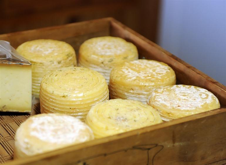Papoyo Ziegenkäse