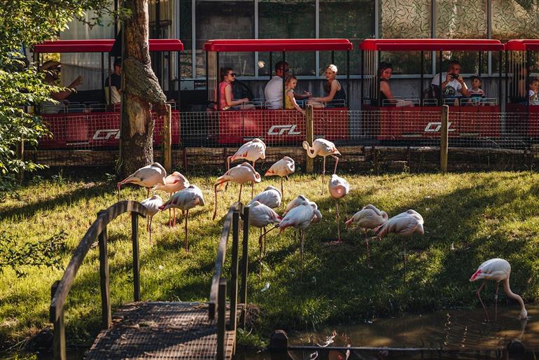 Das Parc Merveilleux in Bettembourg, Luxemburg, besuchen