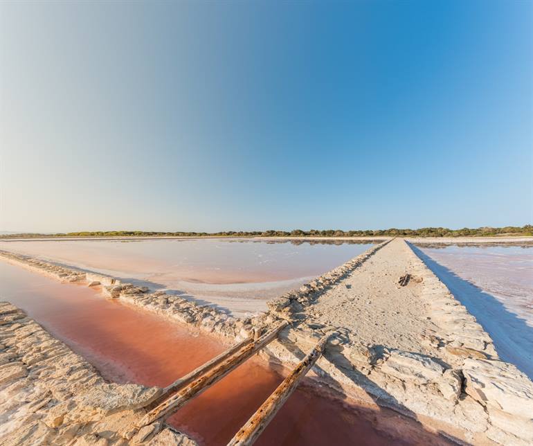 Naturpark Ses Salines von Ibiza