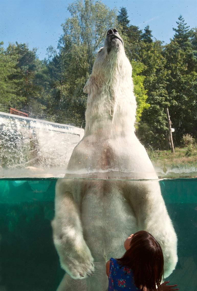Zoo- und Botanischer Park Mulhouse