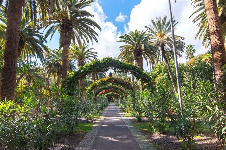 Den Parque de García Sanabria auf Teneriffa besuchen