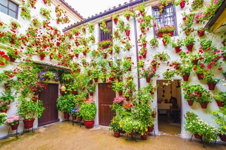 Patio-Festival in Córdoba