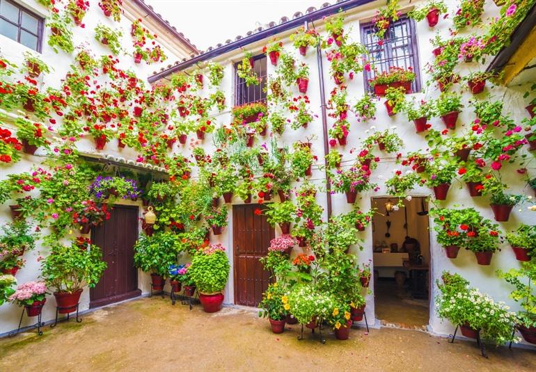 Patio-Festival in Córdoba