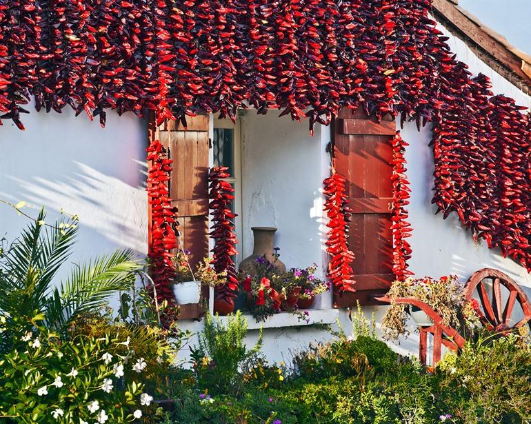 Paprika, die an den weiß gestrichenen Häusern von Espelette zum Trocknen hängen