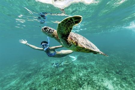 Phuket: Tagesausflug zu den Similan-Inseln mit dem Schnellboot