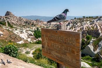 Pigeon Valley in Kappadokien, Türkei besichtigen