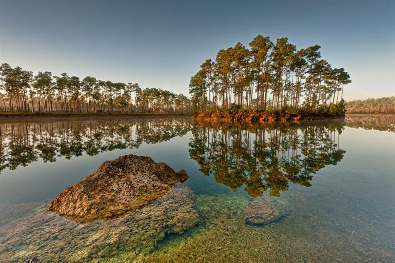 Pine Island Florida