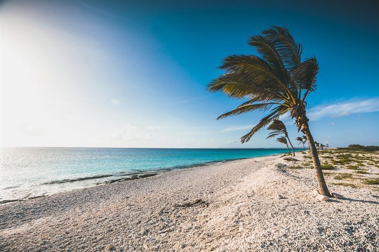 Pink Beach auf Bonaire