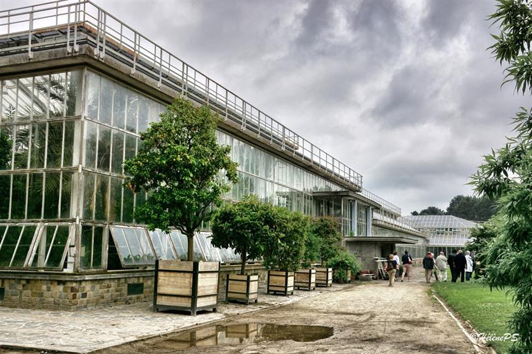 Pflanzenpalast im Botanischen Garten Meise