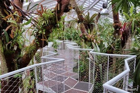 Besuch des Botanischen Gartens Meise? Tipps und Hintergrundinformationen