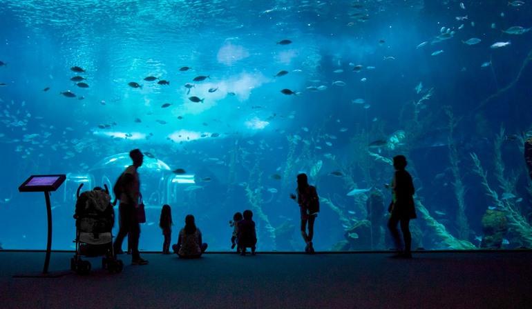 Poema del Mar Aquarium besuchen