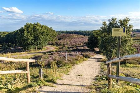 Posbank im Nationalpark Veluwezoom, Gelderland