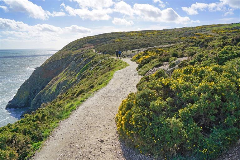Atemberaubliche Klippenwanderung in der Nähe von Dublin: Howth Cliff Walk, Irland